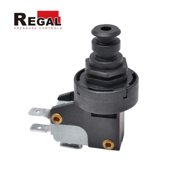 Boiler Water Pressure Switch 4 A NO with High Precision (2)